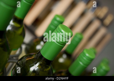 Foto di bottiglie di vino su un rack di vino Foto Stock