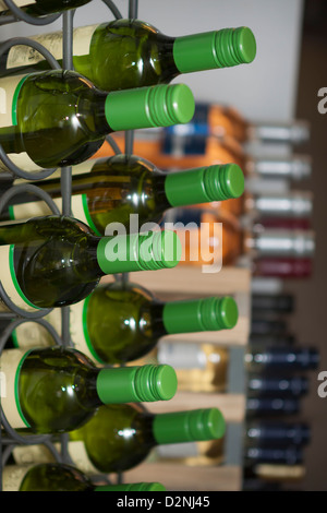 Foto di bottiglie di vino su un rack di vino Foto Stock