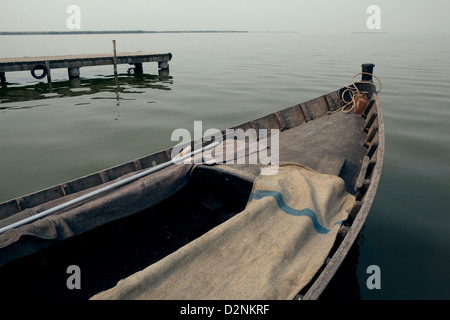 Piantagioni di riso presso La Albufera National Park, a Valencia, in Spagna. Foto Stock