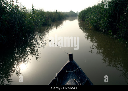 In barca a vela a La Albufera National Park, a Valencia, in Spagna. Foto Stock