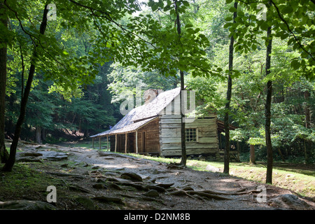 Vecchio e rustico, ruvida log cabin, seduti nei boschi sul versante di una montagna, dal Great Smoky Mountains Park in Tennessee Foto Stock