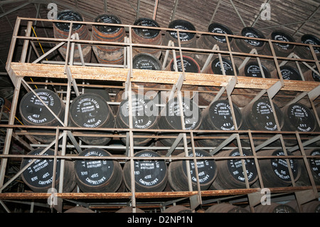 La Scozia, Campbeltown, Springbank distilleria di whisky botti di invecchiamento Foto Stock