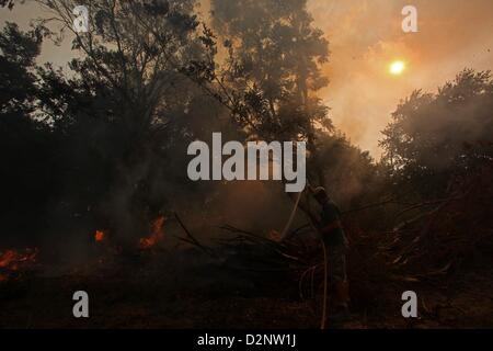 Fatto a Paarl, Sud Africa. Il 29 gennaio 2013. Un contadino cerca di spegnere le fiamme a De Hoop farm on gennaio 29, 2013, in Paarl, Sud Africa. I vigili del fuoco non erano presenti come veld fire spazzato attraverso tutta la regione Boland nella Western Cape. (Foto di Gallo Immagini / Tempi / Shelley cristiani/ Alamy Live News) Foto Stock