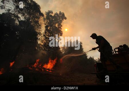 Fatto a Paarl, Sud Africa. Il 29 gennaio 2013. Un contadino cerca di spegnere le fiamme a De Hoop farm on gennaio 29, 2013, in Paarl, Sud Africa. I vigili del fuoco non erano presenti come veld fire spazzato attraverso tutta la regione Boland nella Western Cape. (Foto di Gallo Immagini / Tempi / Shelley cristiani/ Alamy Live News) Foto Stock