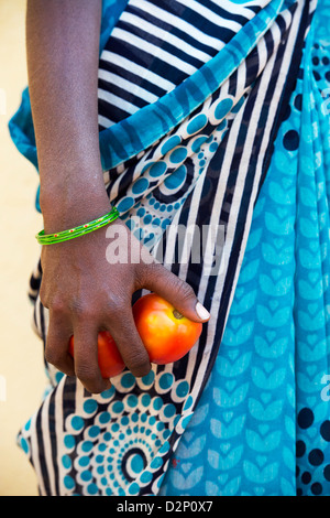 Rurale villaggio indiano donna tenendo i pomodori nelle sue mani. Andhra Pradesh, India Foto Stock