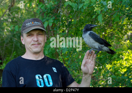 Baby cornacchia mantellata, Crow Corvus, o Hoodiecrow (Corvus cornix), isola Yermakov, Ucraina, Eastern Europ Foto Stock