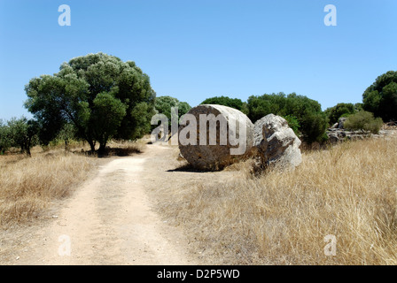 Abbandonato V secolo a.c. la colonna cilindrica del tamburo a blocchi le antiche cave di grotta de Cusa. Selinunte. Sicilia. Italia Foto Stock