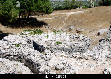 Abbandonato V secolo a.c. la colonna cilindrica del tamburo a blocchi le antiche cave di grotta de Cusa. Selinunte. Sicilia. Italia Foto Stock