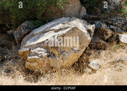 Abbandonato V secolo a.c. la colonna cilindrica del capitale di antiche cave di grotta de Cusa. Selinunte. Sicilia. Italia Foto Stock