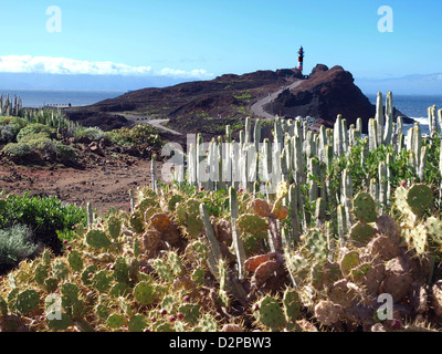 Punta de Teno, Tenerife più westerly point. Foto Stock