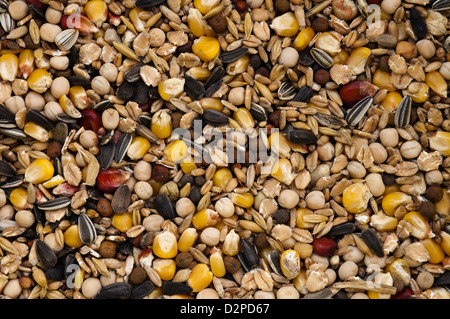 Ordinate il cibo per gli uccelli in background Foto Stock