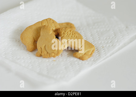 Crackers animale sul libro bianco igienico, guarnizione, Elefante e forme di Lion Foto Stock