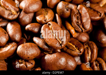 Berlino, Germania, industrialmente il caffè torrefatto piantagioni di africana di chicchi di caffè Foto Stock