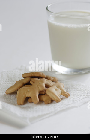 Crackers animale sul tovagliolo bianco con un bicchiere di latte di vacca su sfondo bianco Foto Stock