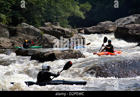 Kayaker superiore fiume Youghiogheny Maryland Mormorando di un ruscello Foto Stock