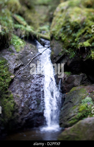 Bonndorf, Germania, cascata Wutachschlucht Foto Stock