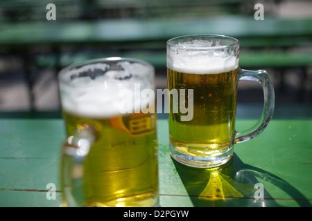 Monaco di Baviera, Germania, due bicchieri di birra nel giardino della birra Foto Stock