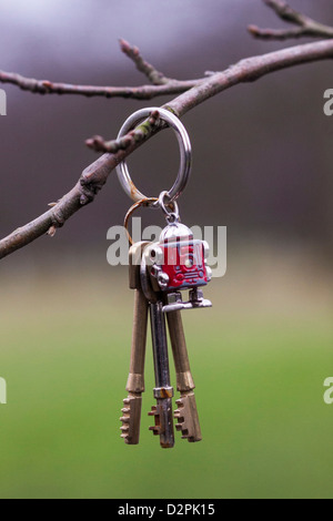 Qualcuno è in caso di smarrimento delle chiavi appeso su un ramo nel parco Foto Stock