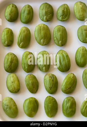 Il fetore fagioli (noto anche come cluster ritorta, amaro, Petai o Sator fagioli) Foto Stock