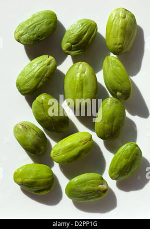 Il fetore fagioli (noto anche come cluster ritorta, amaro, Petai o Sator fagioli) Foto Stock