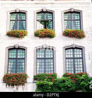Una vecchia casa con finestre con vasi da fiori sui davanzali Foto Stock