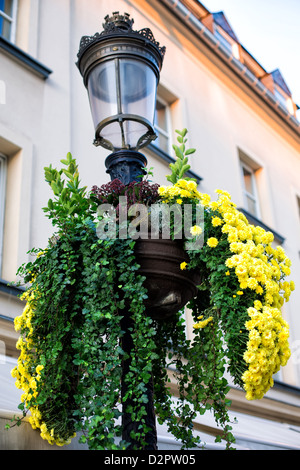 Classic old street lanterna con fiori che sbocciano intorno Foto Stock