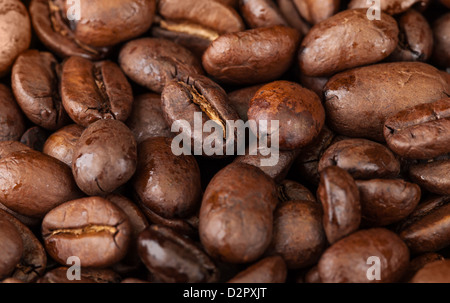 Macro texture di sfondo di chicchi di caffè tostati Foto Stock