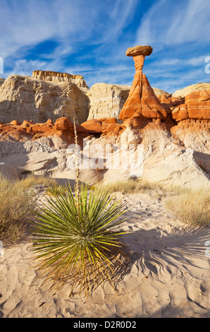 Toadstool Paria Rimrocks con impianto di yucca, vicino a Kanab, Grand Staircase-Escalante monumento nazionale, Utah, Stati Uniti d'America Foto Stock