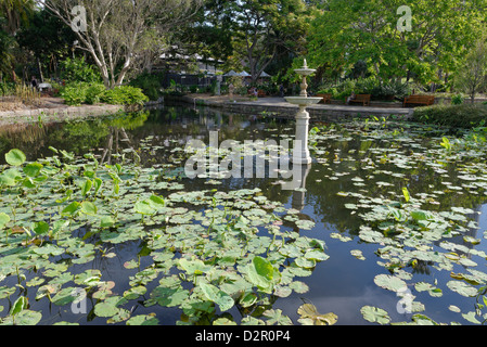 Royal Botanic Gardens, Sydney, Nuovo Galles del Sud, Australia Pacific Foto Stock