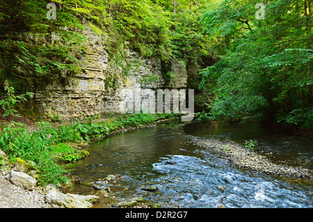 Wutach Gorge e fiume Wutach, Foresta Nera, Baden-Württemberg, Germania, Europa Foto Stock