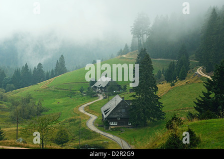 Agriturismi nella nebbia, Muchenland, Foresta Nera, Baden-Württemberg, Germania, Europa Foto Stock