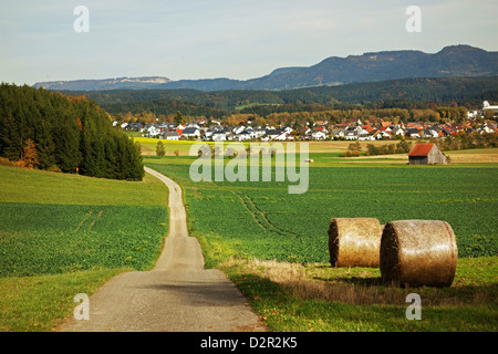 Autunno rurale scena con Lauffen Village, vicino Villingen-Schwenningen, Foresta Nera, Schwarzwald-Baar, Baden-Württemberg, Germania Foto Stock