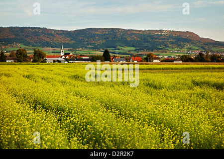 La Canola Field, Aixheim village e Klippeneck in background, Schwarzwald-Baar, Baden-Württemberg, Germania, Europa Foto Stock