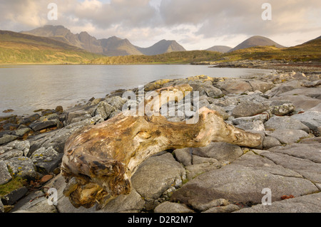 Cullin montagne da Loch Slapin, Isola di Skye, Ebridi Interne, Scotland, Regno Unito, Europa Foto Stock