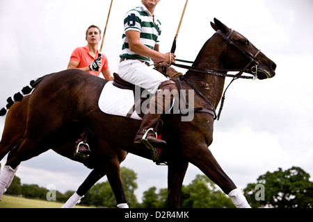 Giocatori di Polo reining in cavalli, in attesa che la palla Foto Stock