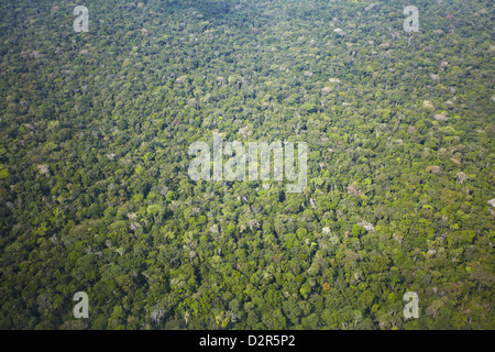 Vista aerea della foresta pluviale amazzonica Manaus, Amazonas, Brasile, Sud America Foto Stock