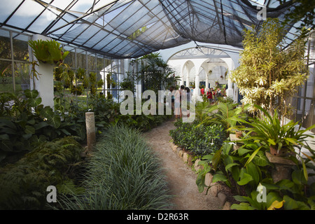 Le persone dentro la casa delle orchidee presso i Giardini Botanici (Jardim Botanico), Rio de Janeiro, Brasile, Sud America Foto Stock