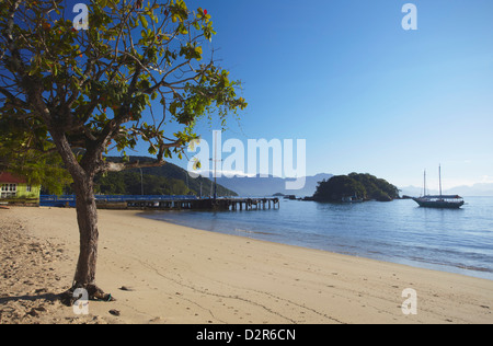 Vila do Abraao beach, Ilha Grande, Stato di Rio de Janeiro, Brasile, Sud America Foto Stock
