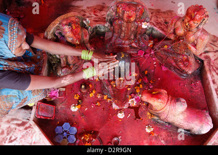 Donna indù adorare un lingam durante Holi celebrazione in Goverdan, Uttar Pradesh, India, Asia Foto Stock