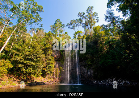 Millaa Millaa Falls, altopiano di Atherton, Queensland, Australia Pacific Foto Stock