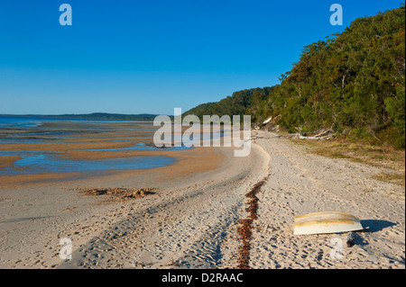 Spiaggia solitaria su Fraser Island, sito Patrimonio Mondiale dell'UNESCO, Queensland, Australia Pacific Foto Stock