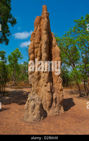 Termite mound nel Parco Nazionale di Litchfield, Territorio del Nord, l'Australia, il Pacifico Foto Stock