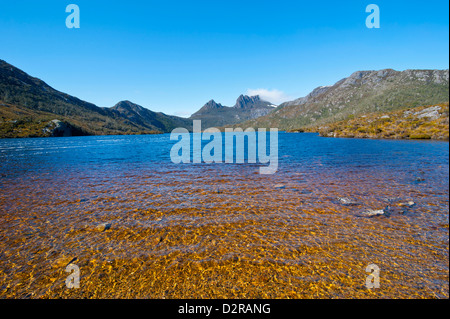 Lago di colomba e Cradle Mountain, Cradle Mountain-Lake St Clair National Park, la Tasmania, Australia Foto Stock