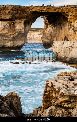 Mare famoso arch, Azure Window, Gozo, Malta, Mediterraneo, Europa Foto Stock