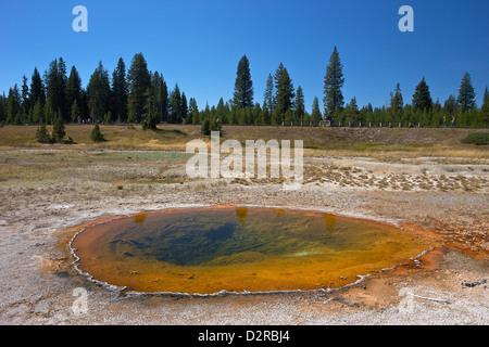 Thumb Geyser, West Thumb Geyser Basin, il Parco Nazionale di Yellowstone, Wyoming USA Foto Stock