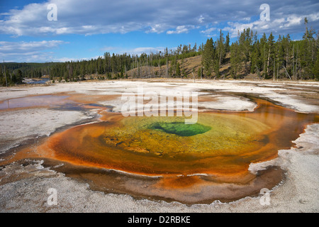 Piscina cromatica, Upper Geyser Basin, il Parco Nazionale di Yellowstone, Wyoming Wyoming, STATI UNITI D'AMERICA Foto Stock