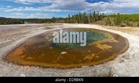 Foto panoramica di bellezza piscina, Upper Geyser Basin, il Parco Nazionale di Yellowstone, Wyoming USA Foto Stock