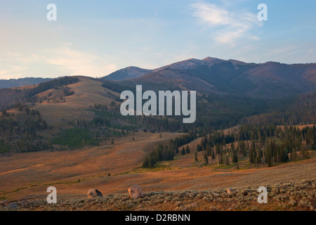 Mount Washburn in inizio di mattina di luce, il Parco Nazionale di Yellowstone, Wyoming USA Foto Stock