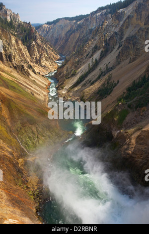 Orlo di cascate inferiori di Yellowstone River, il Grand Canyon di Yellowstone, il Parco Nazionale di Yellowstone, Wyoming USA Foto Stock