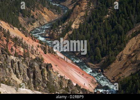 Il Grand Canyon di Yellowstone River, dal punto di ispirazione, il Parco Nazionale di Yellowstone, Wyoming USA Foto Stock